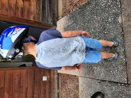 louis
